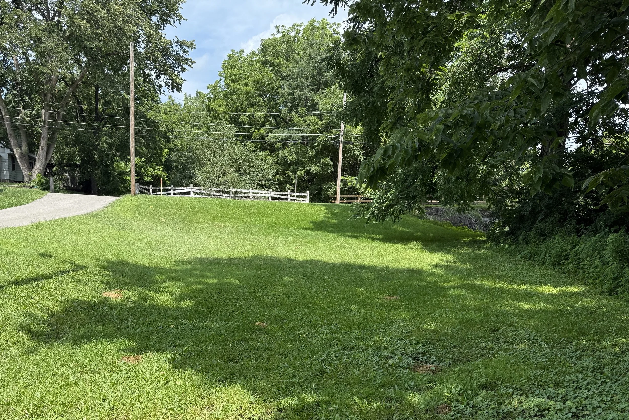 Before lawn mowing in 50317, IA