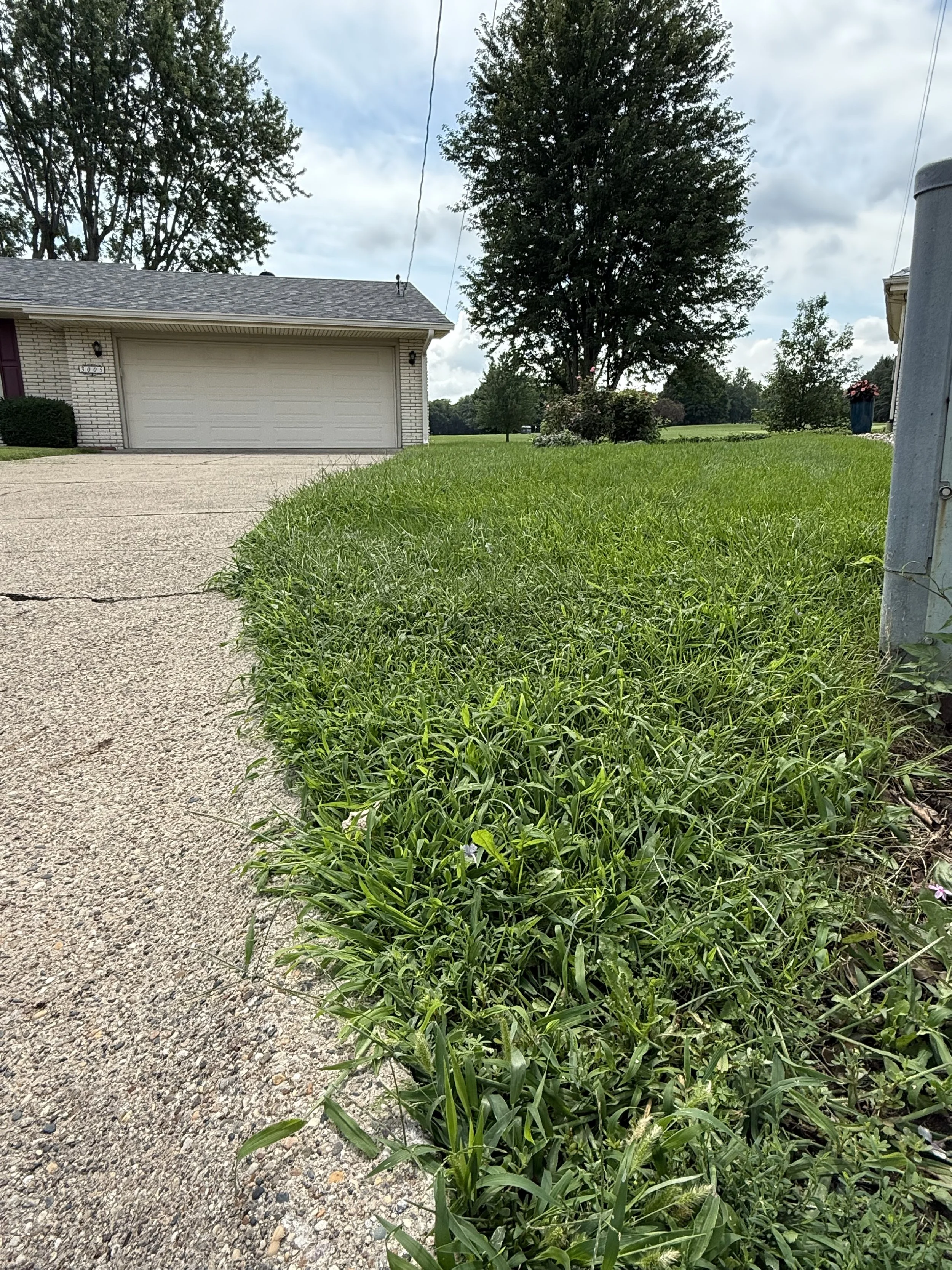 Before grass mowing in East Des Moines, IA