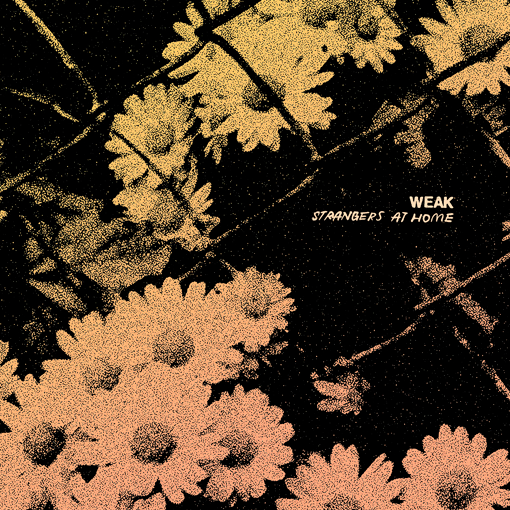Weak - Strangers At Home