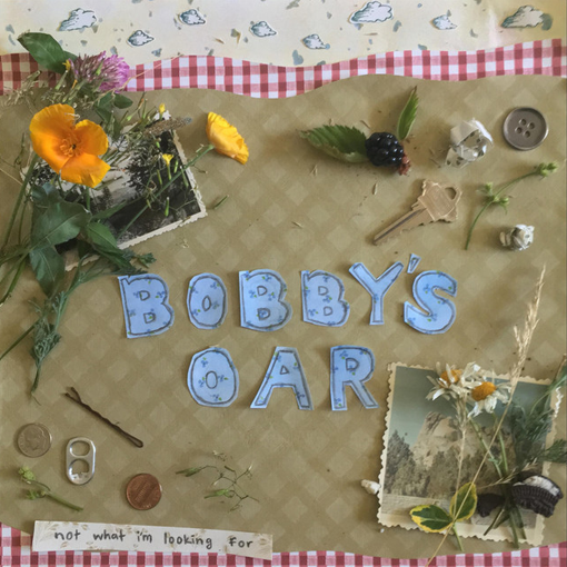 Bobby's Oar – Not What I'm Looking For