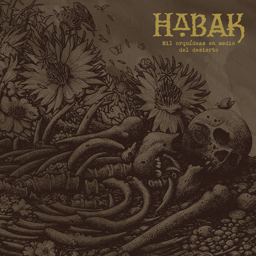 habak-mil-orquidias-en-el-medio-clockworkmx.png