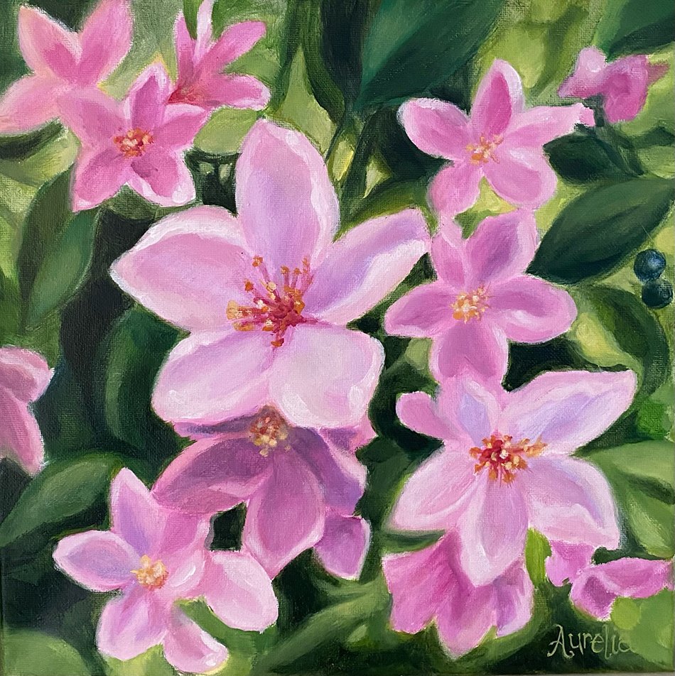 "Pink Lady"