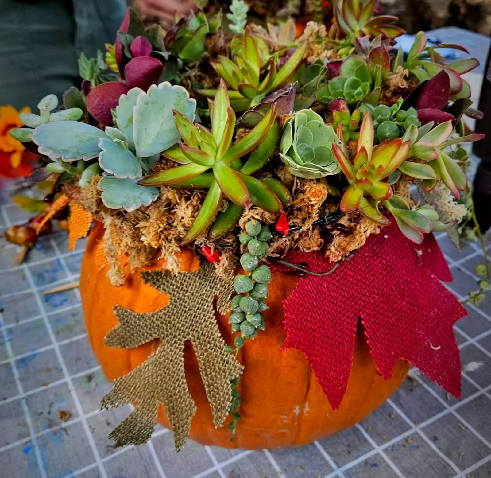 Pumpkin Succulent Workshop