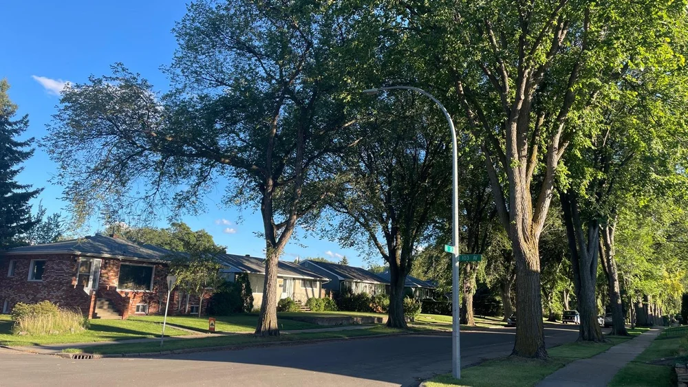 WhatsApp Image 2025-03-04 at 17.48.40 (2).jpeg