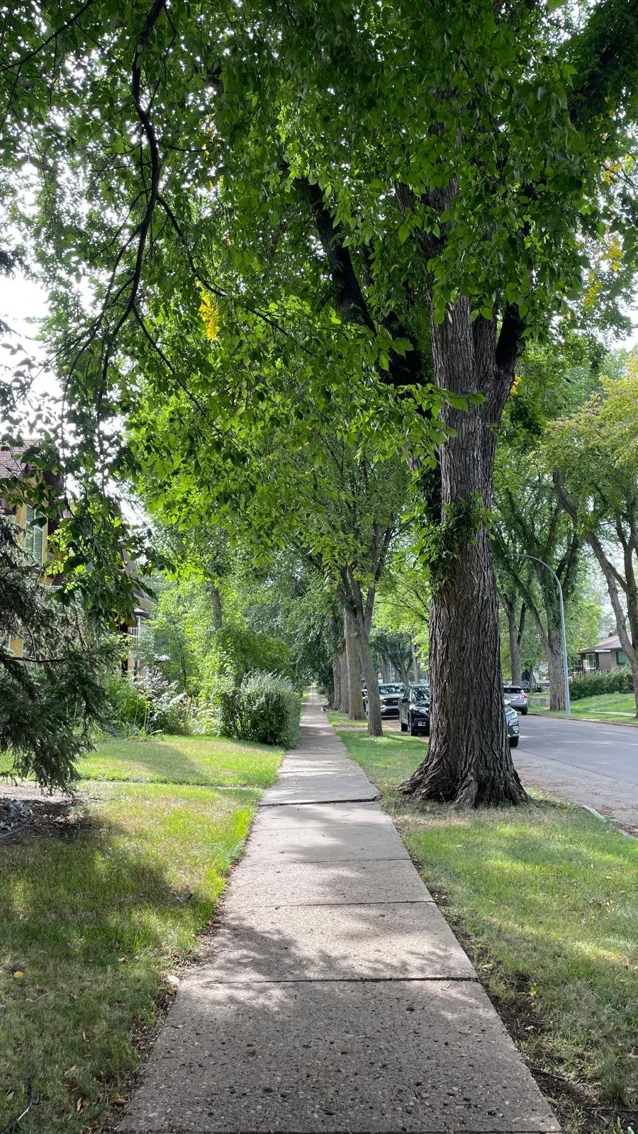 WhatsApp Image 2025-03-04 at 17.48.40.jpeg