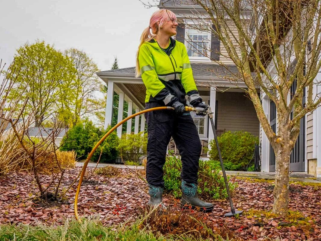 Do I Need to Fertilize My Trees?