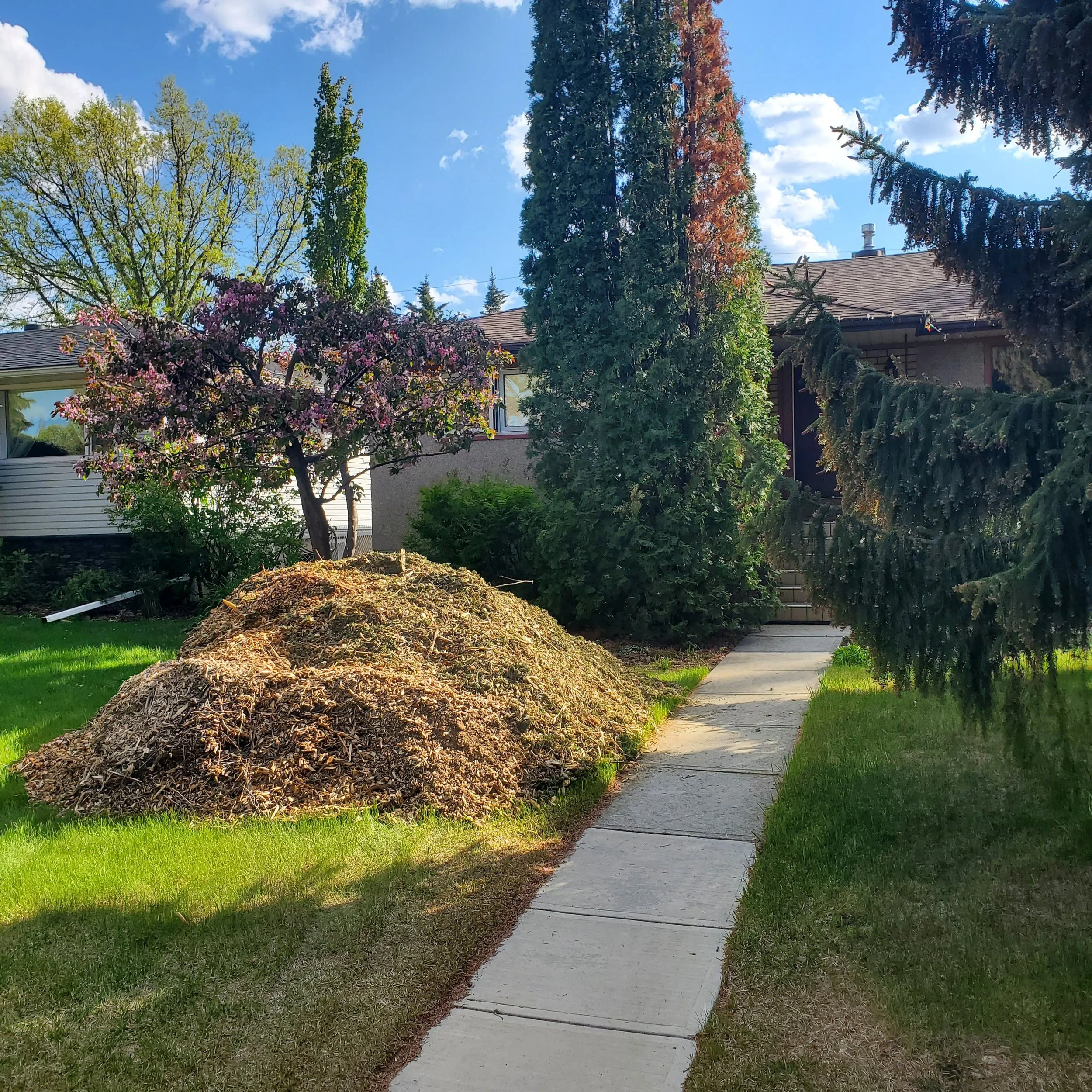 Garden landscape Mulch Edmonton Wood chips — City Tree Service