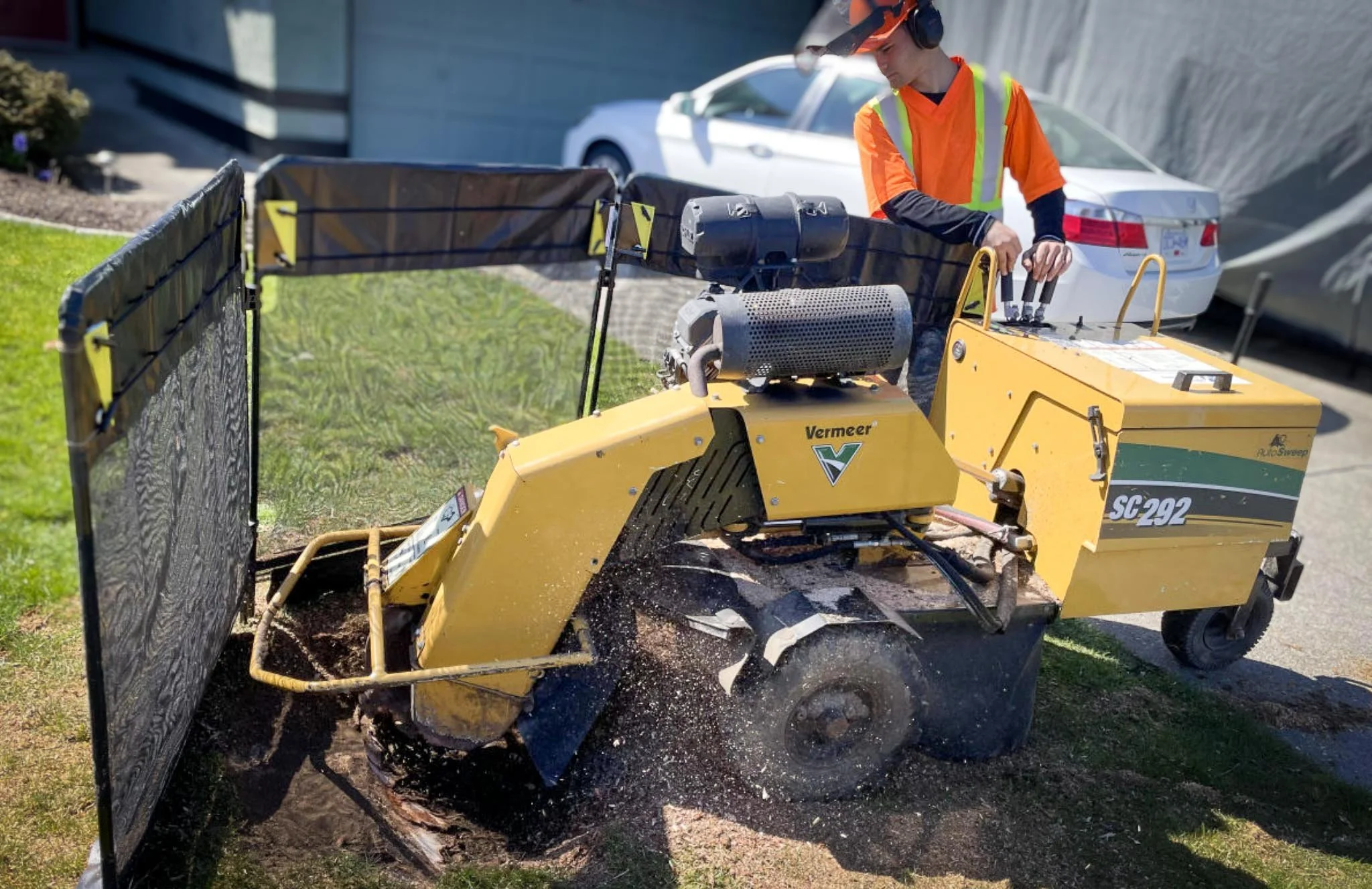 Why You Should (or Shouldn't) Remove That Stump: A Guide for Edmonton Homeowners