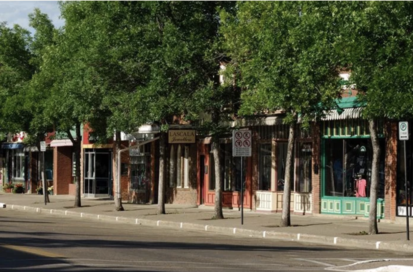 Commercial Property Tree Care 101: A Guide for Edmonton Businesses