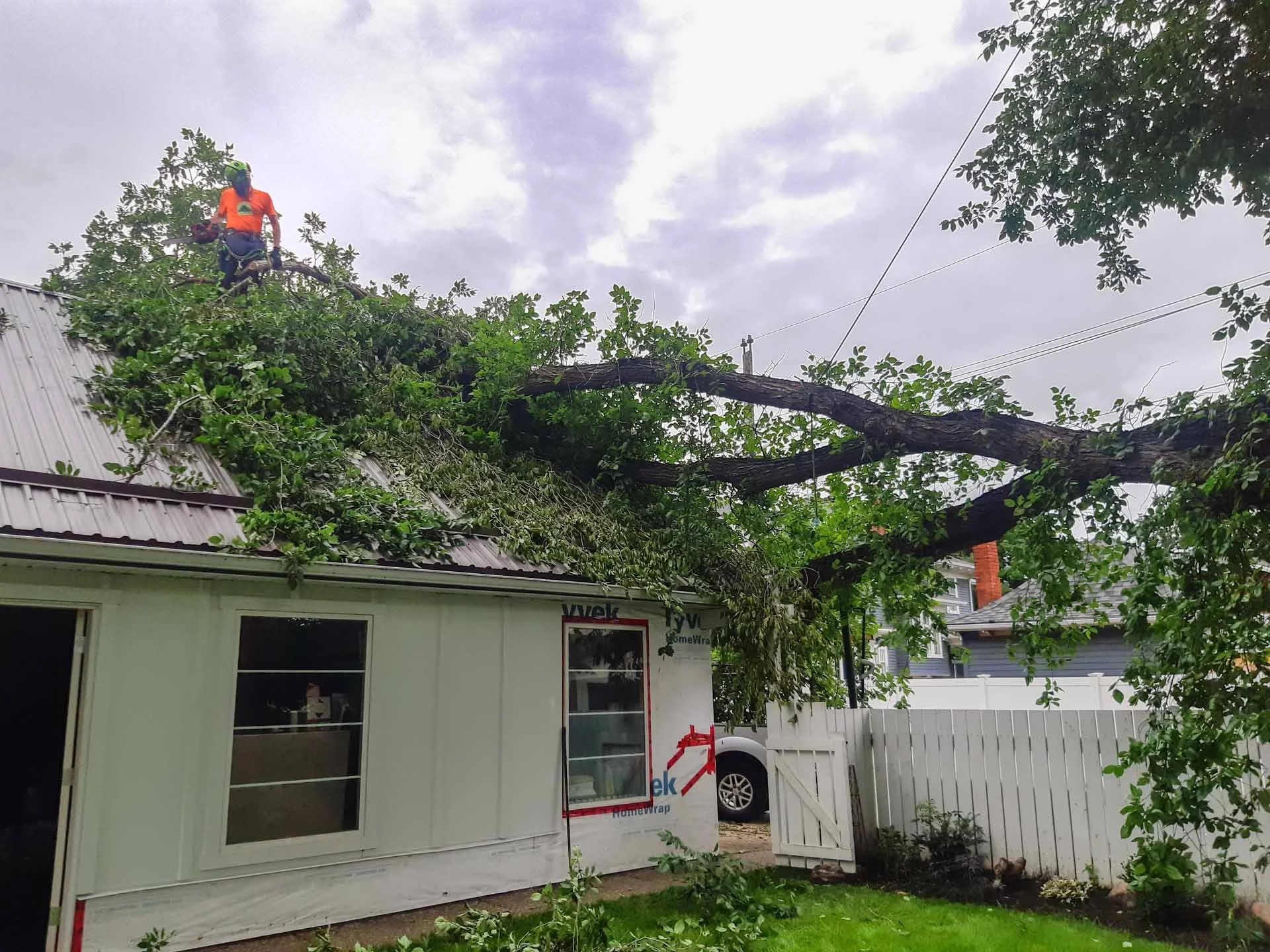 After the Storm: Emergency Tree Care Steps for Edmonton Homeowners