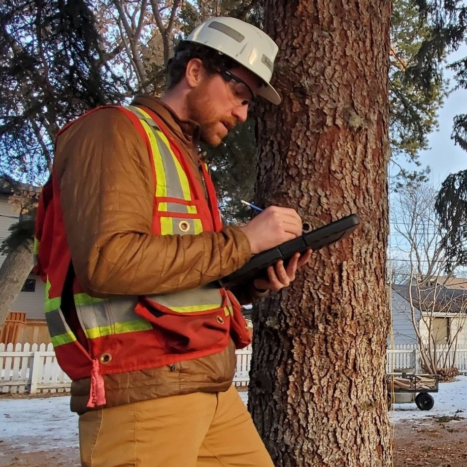 Arborist Services for School Redevelopment Projects in Alberta