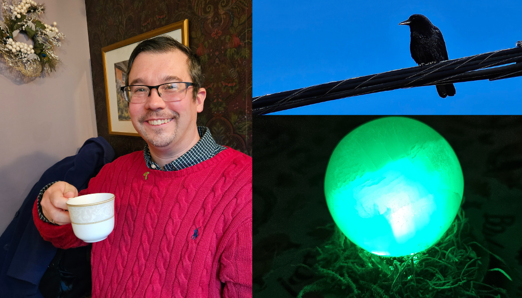 A man with glasses and a red sweater smiling while holding a teacup indoors, a black bird sitting on overhead wires against a blue sky, and a glowing green lighted sphere on the ground near some grass at night.