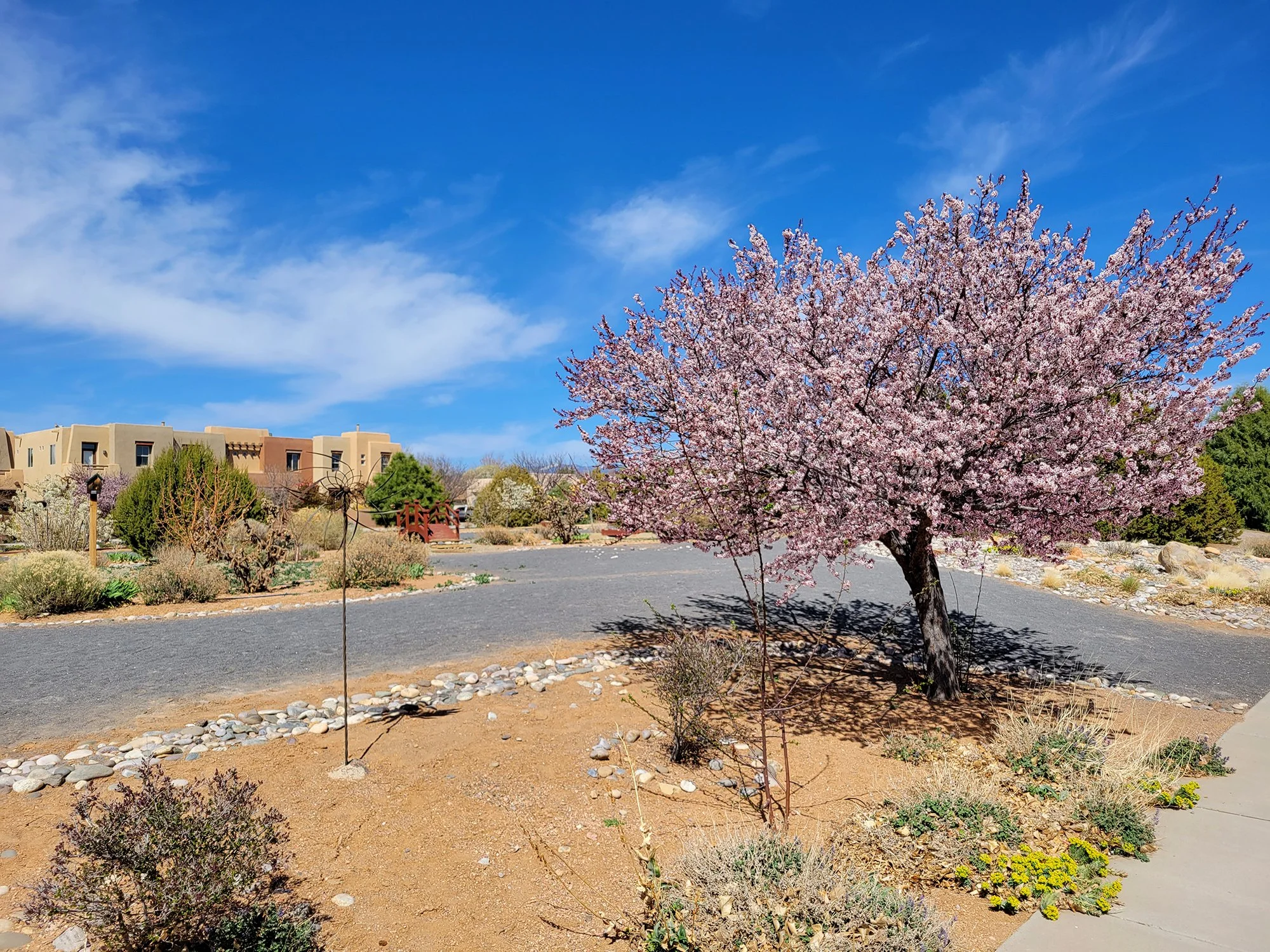 Springtime in Santa Fe