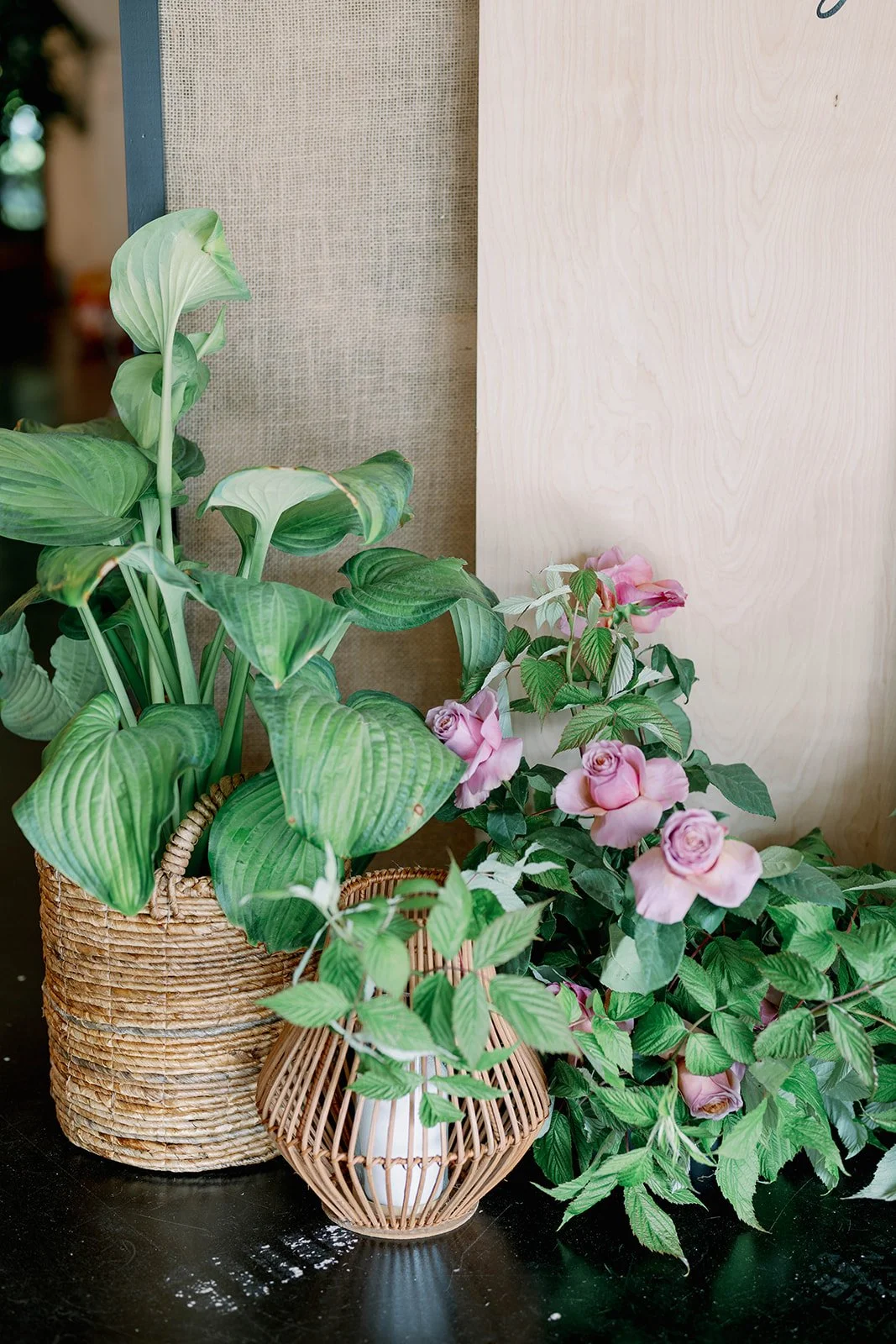 smithandcophotography - S&K botanica noire-455.jpg