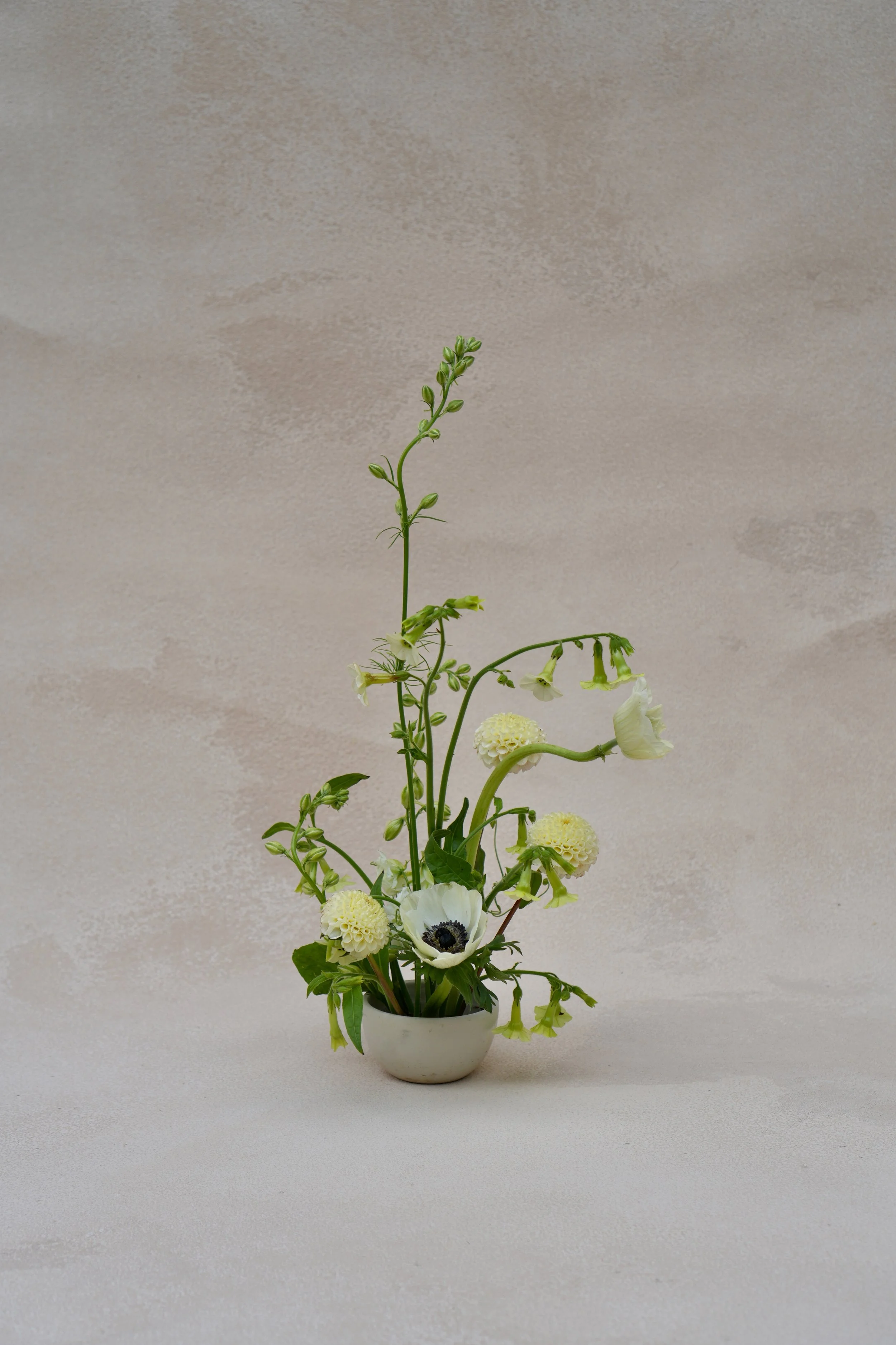 Petite ikebana