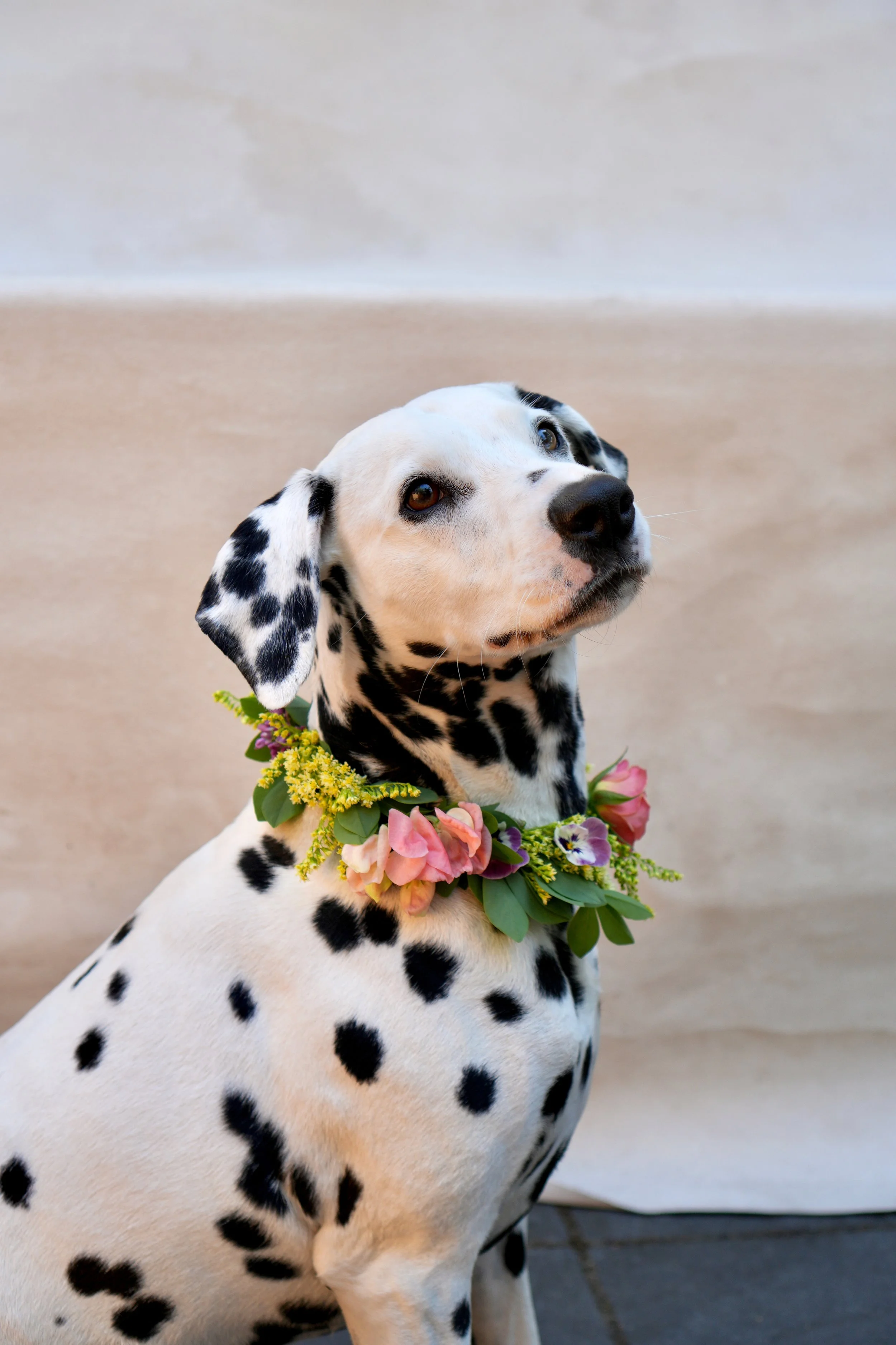Flower crown