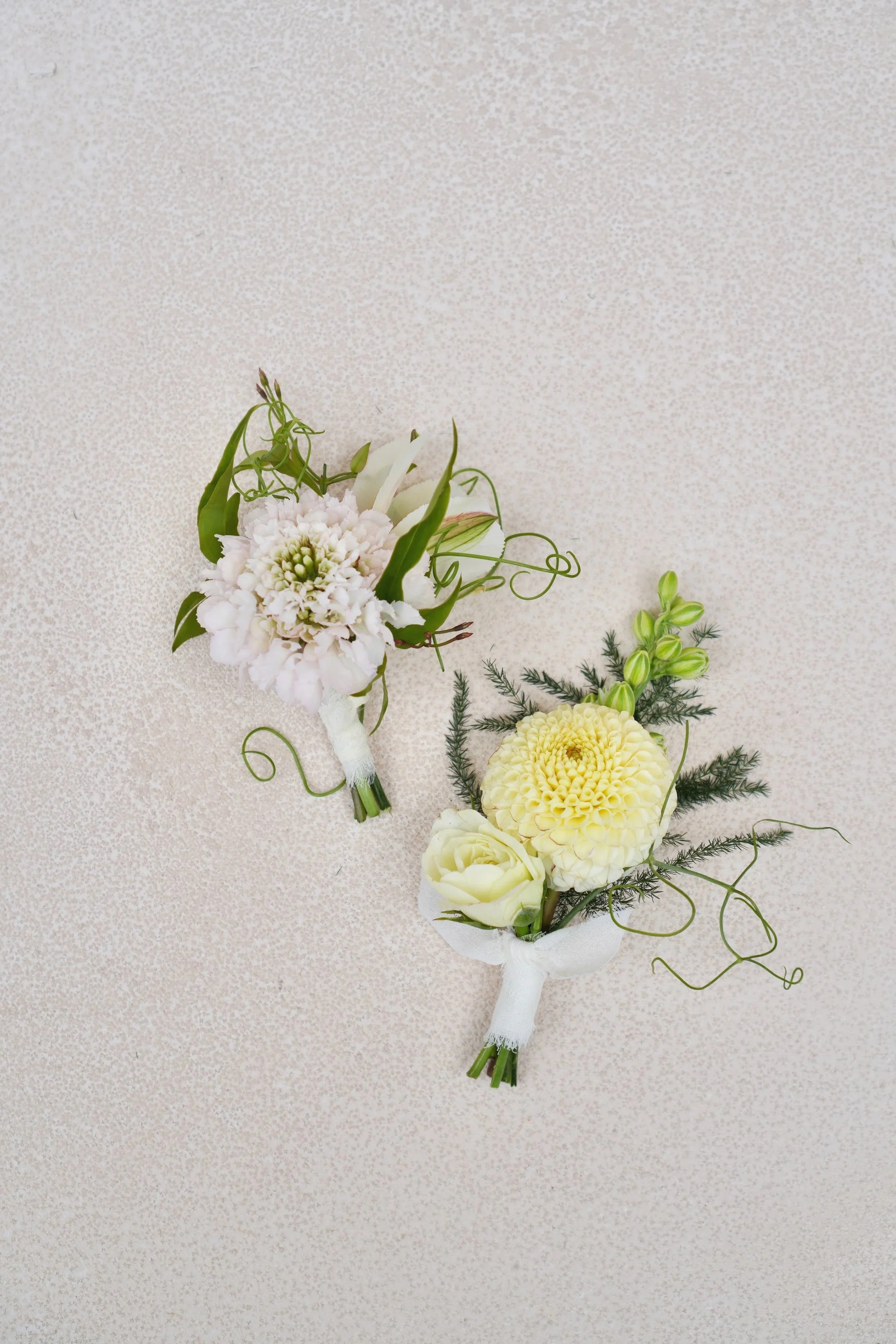 Boutonniere, neutrals