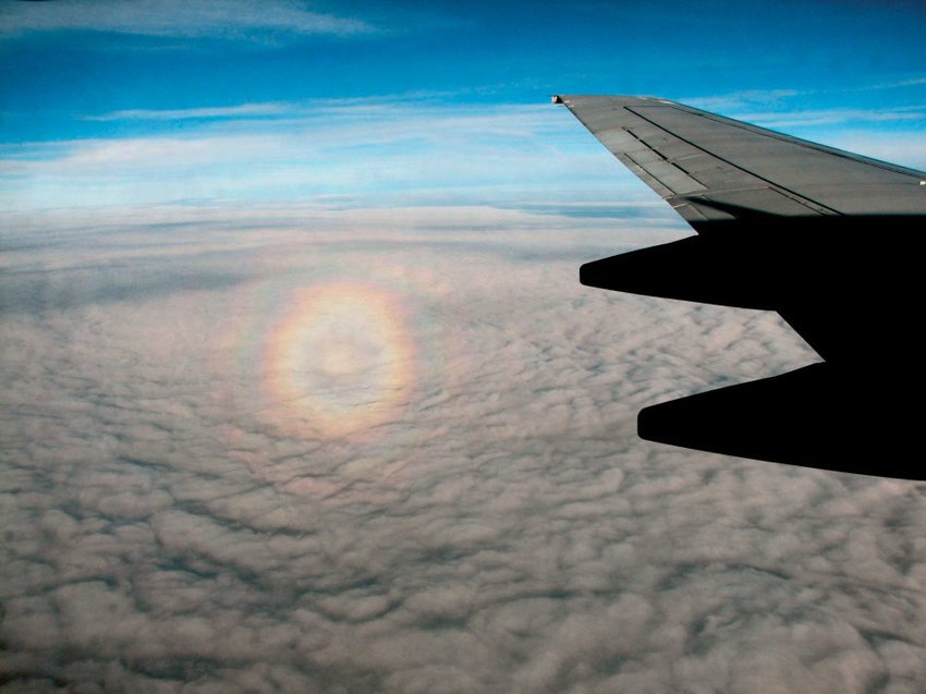 The-glory-around-the-shadow-point-of-a-plane-The-shadow-itself-is-invisible-because-of.png.jpeg