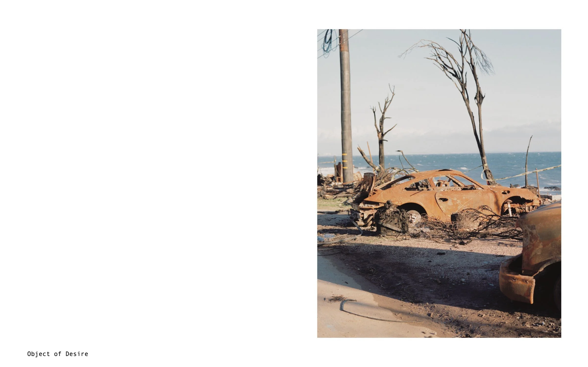 Disaster index.110.jpeg