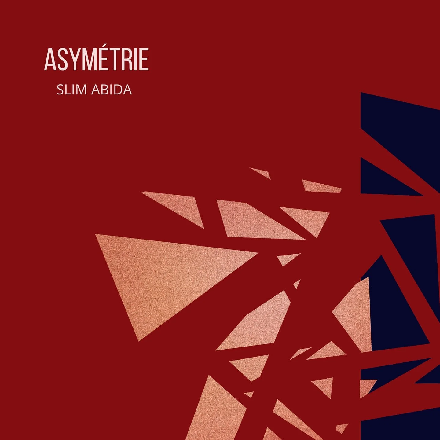 Pochette album .jpeg (Copy)