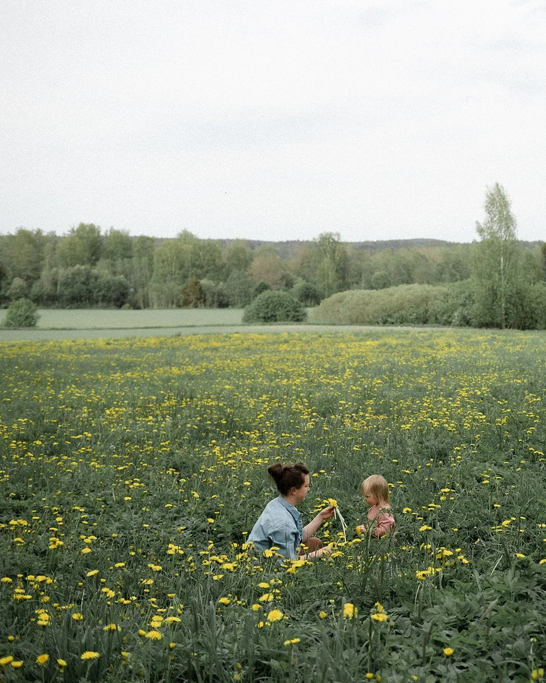 Who wouldn&rsquo;t love any kind of flowers field near summer. This one was a field of their own right next to the road that leads to their home.

The year that happened in between this photoshoot and now in their family&rsquo;s life &ndash; so many 