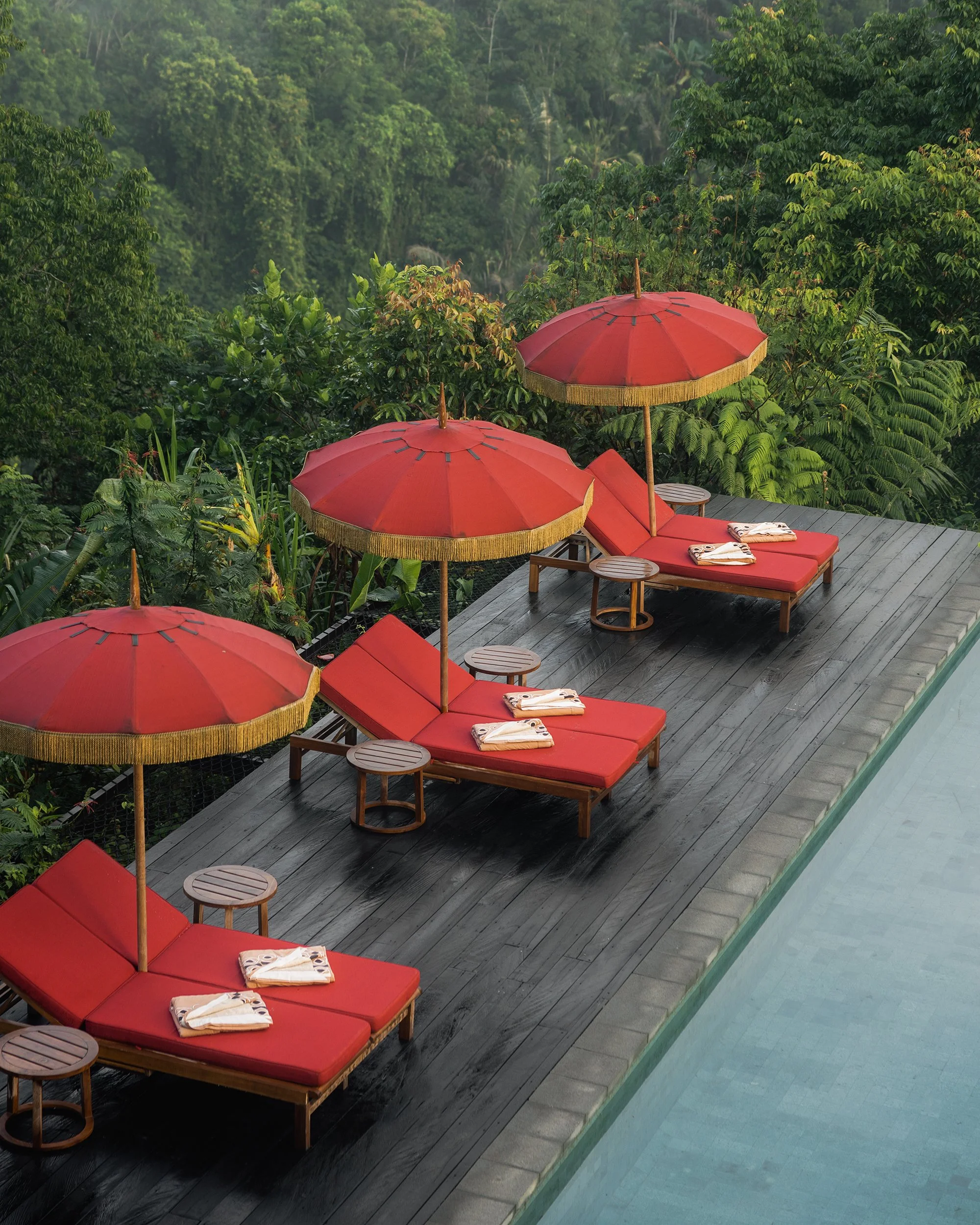 EOS10381 Resized.JPG