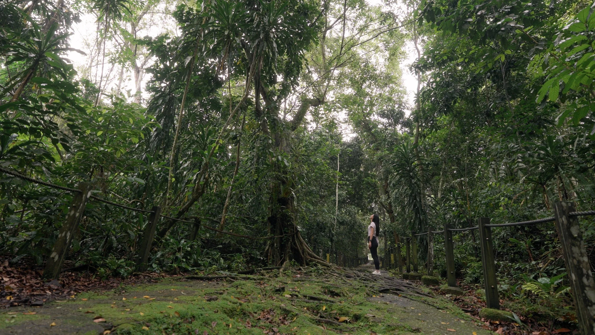 A Home Rewritten in Nature - Commune | GuocoLand