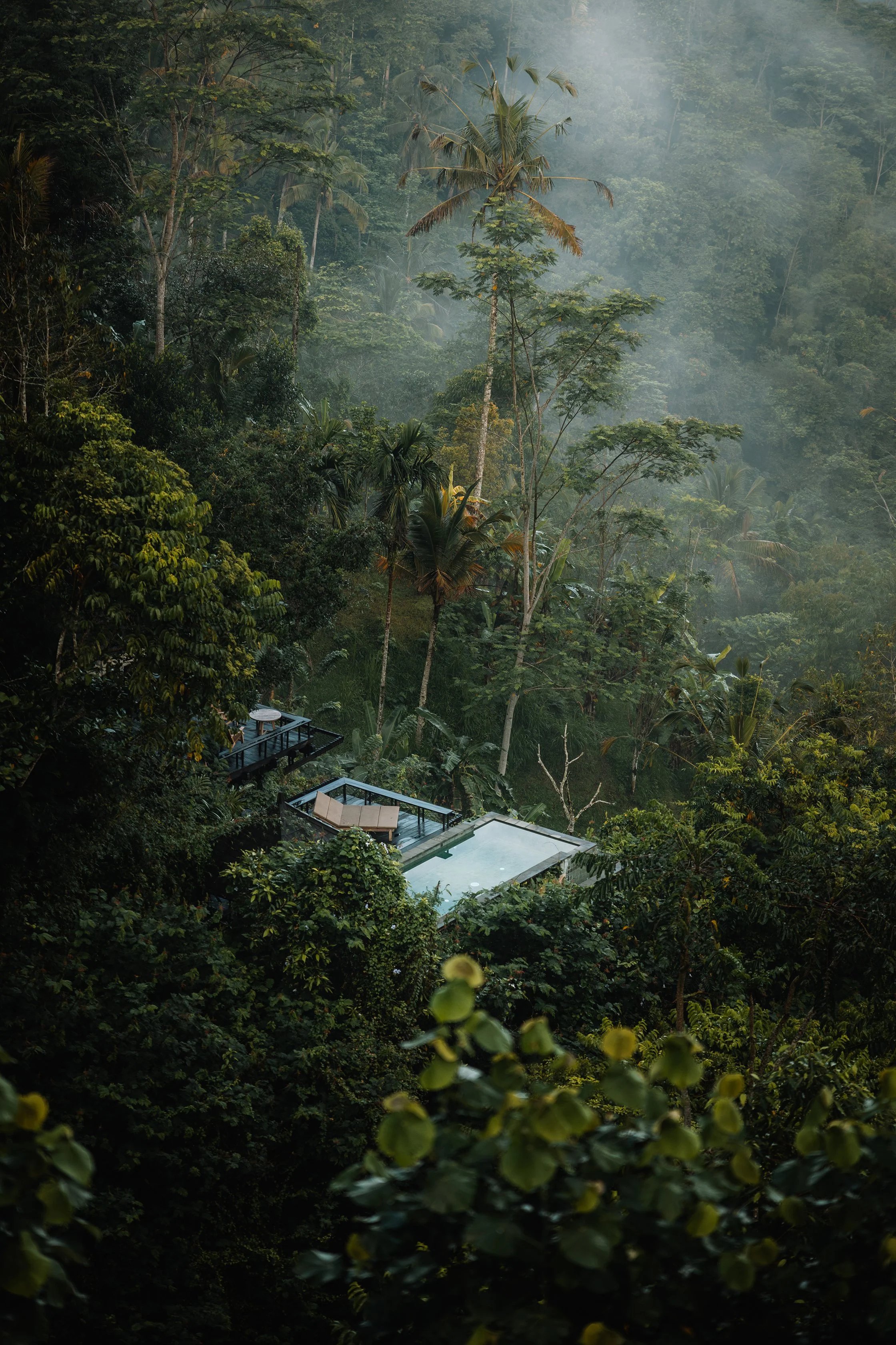 EOS10395 Resized.jpg