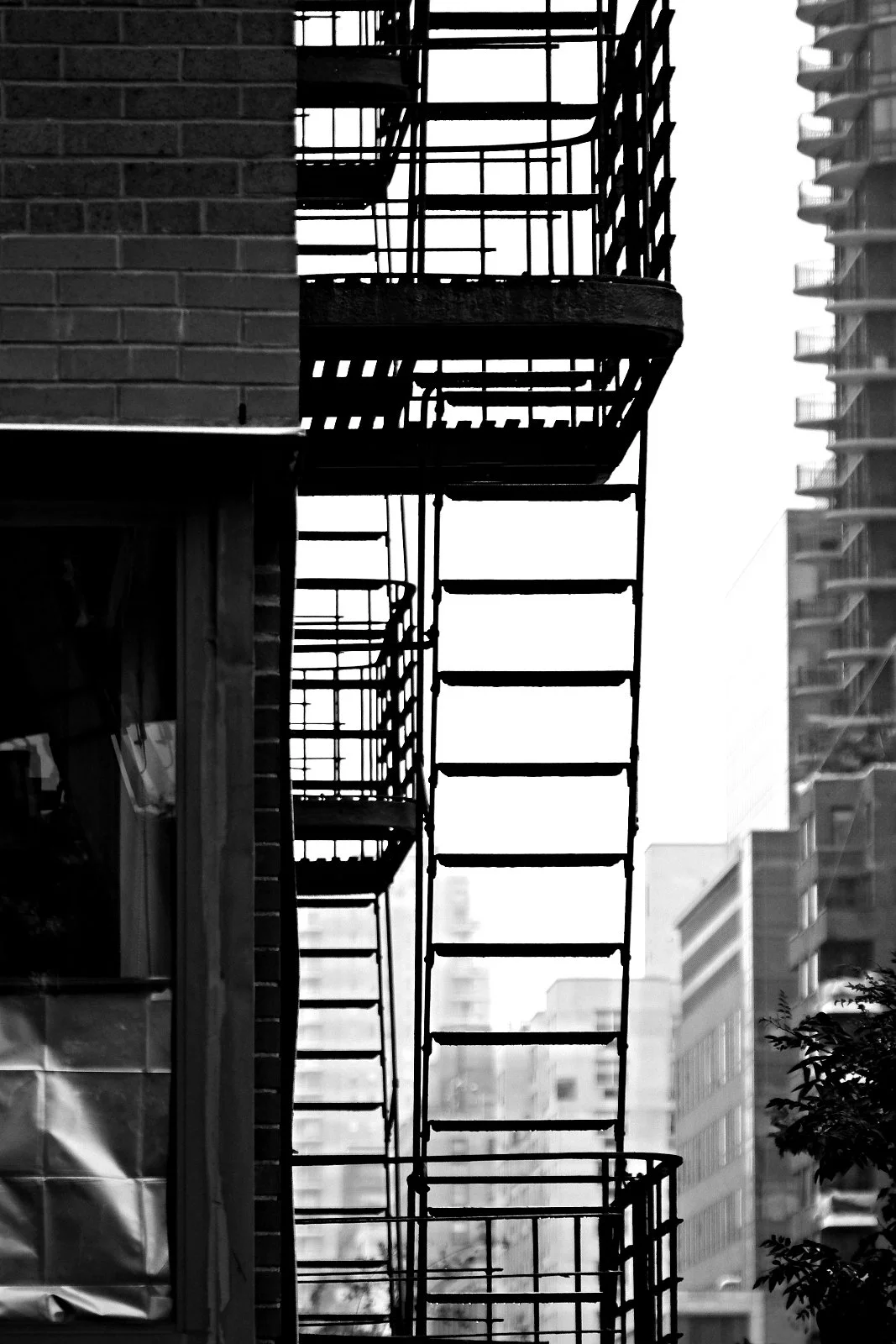 16 NewYork 2025 (486).JPG