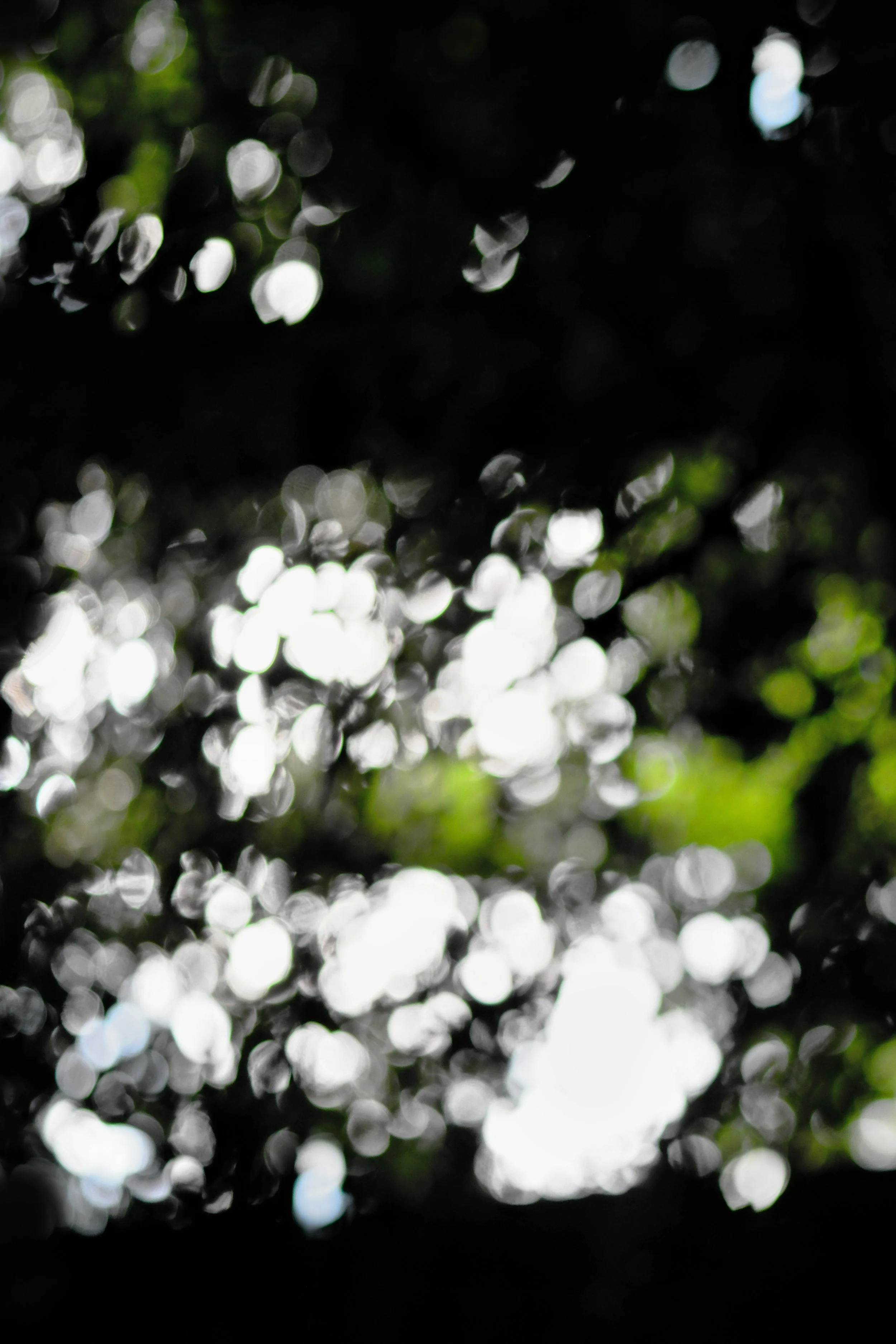 un (3) - Kopie (2).JPG