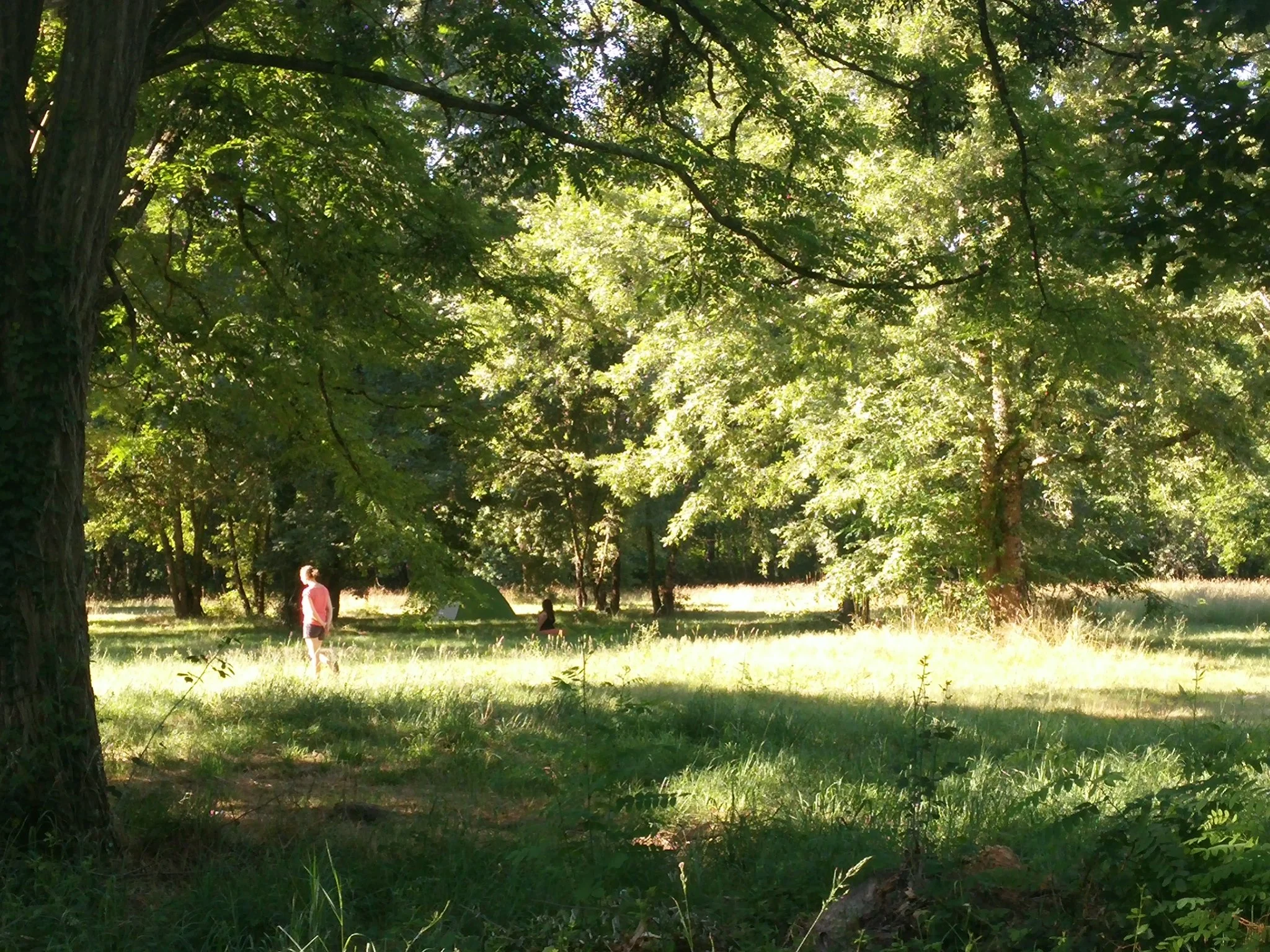 stage nature.jpg