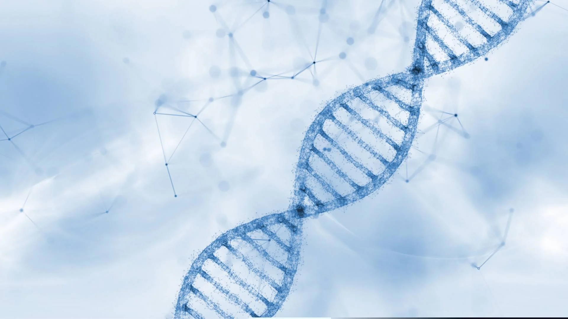 Polynukleotidihoidot- lahti