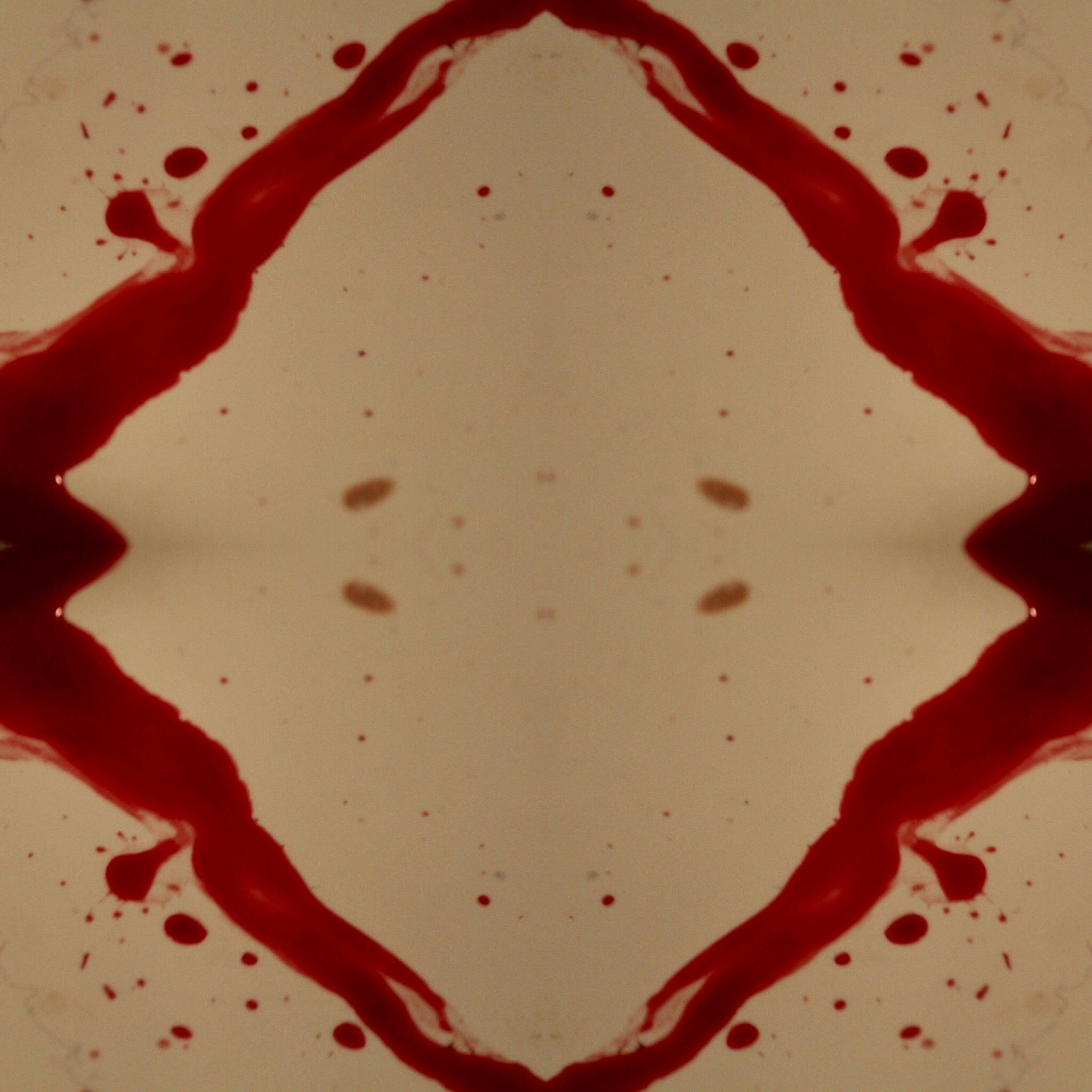 91742EDE-B7B1-4D3A-9324-5A53062BBFE6.jpeg