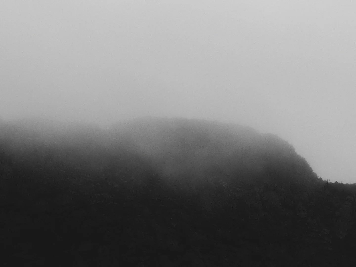 9674FC68-7DA7-4F33-8052-C22D6FF5BB72 2.JPG