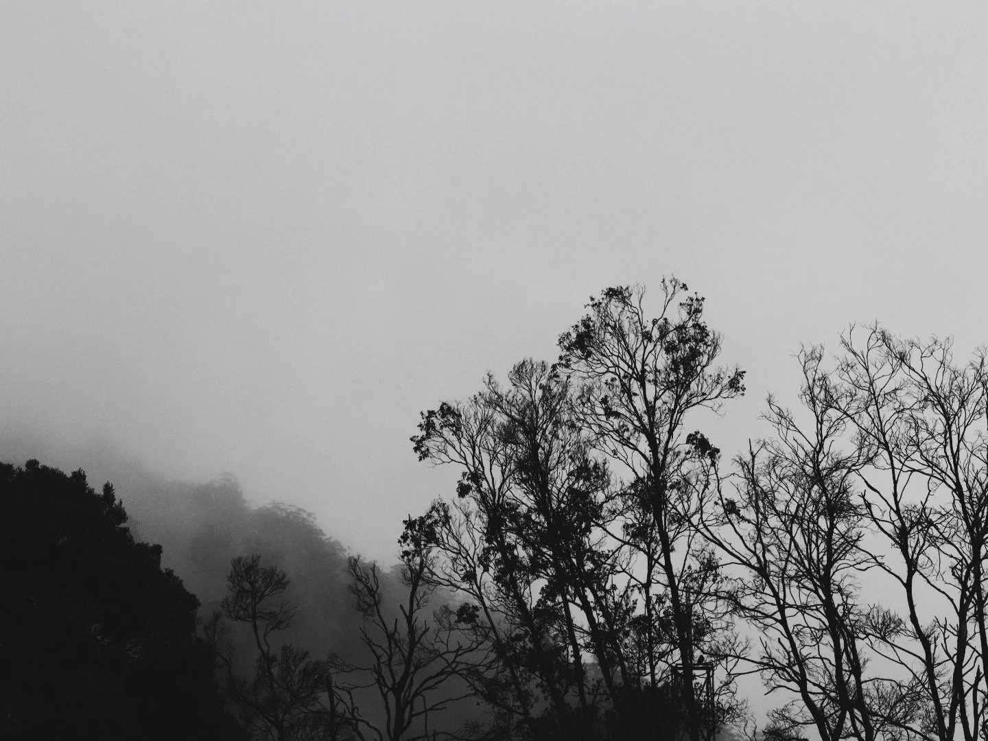 1D60A3E9-CC6E-42A1-942D-7608F5BDF4DA.JPG