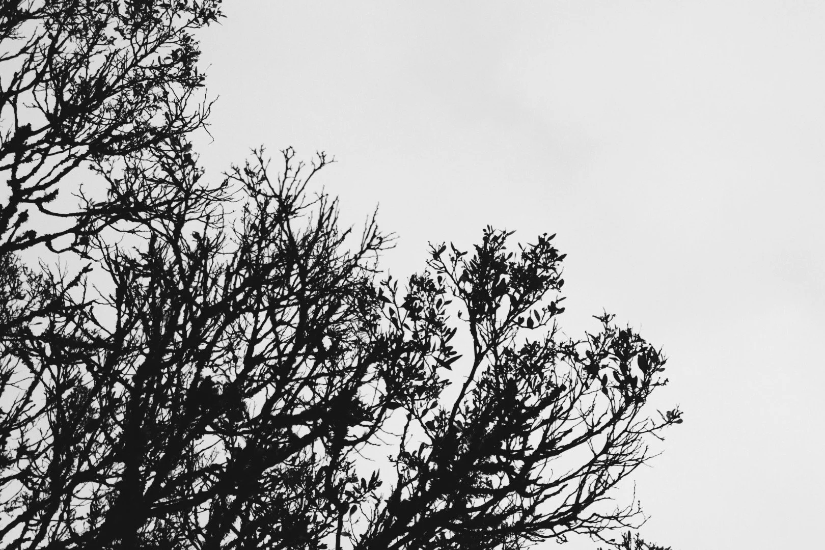 57C7B7DE-A6CB-47F0-9DBA-5AD4E9BC6766 2.JPG