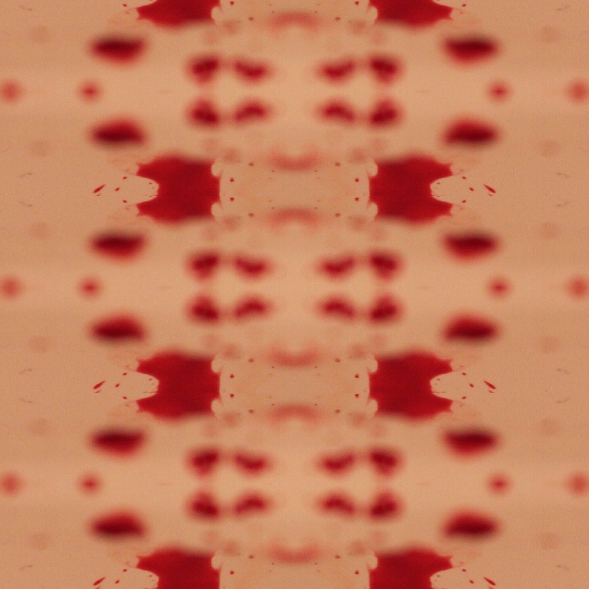 C084C755-4328-4569-948F-BDEDC42ECD09.jpg