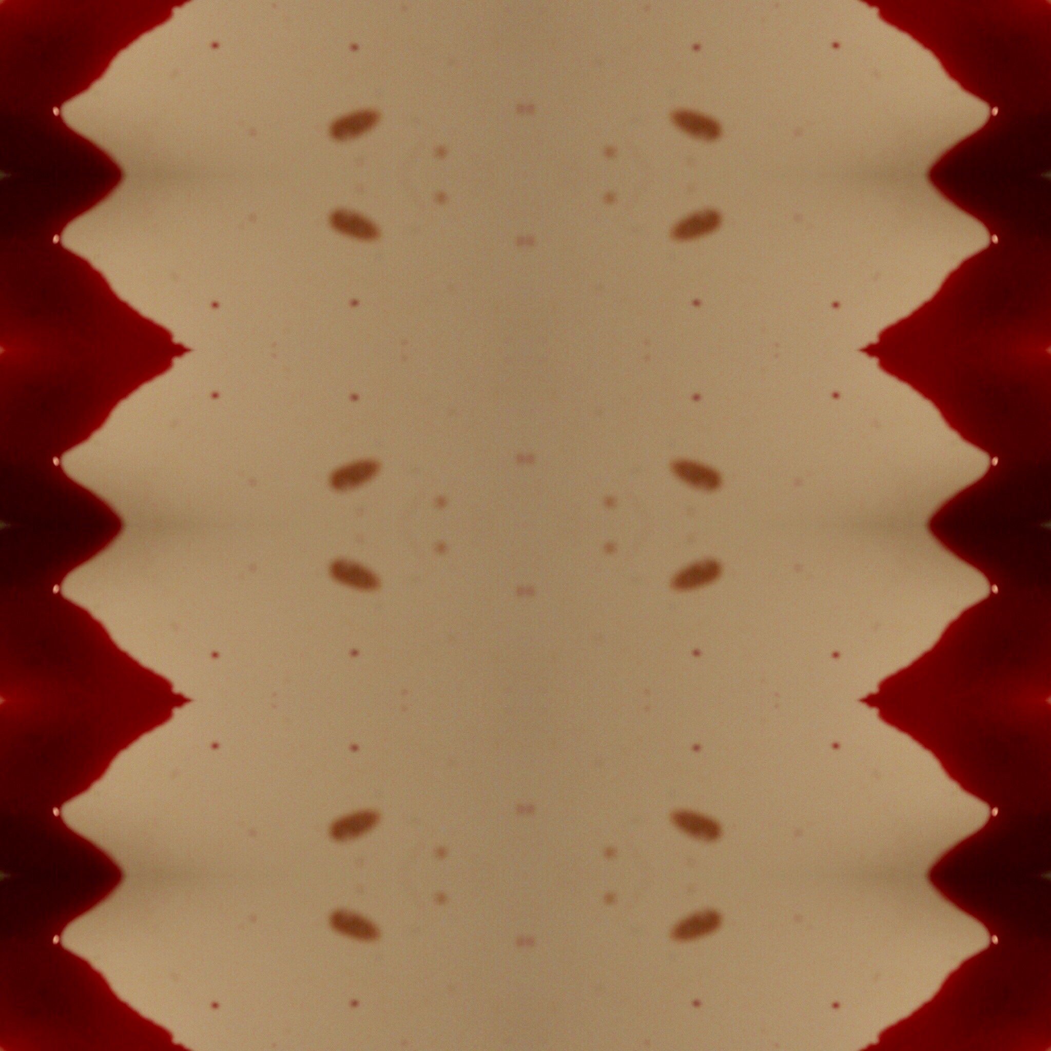 50D29A66-2F07-4A4F-A255-0FCF2A1FE7AF.jpeg