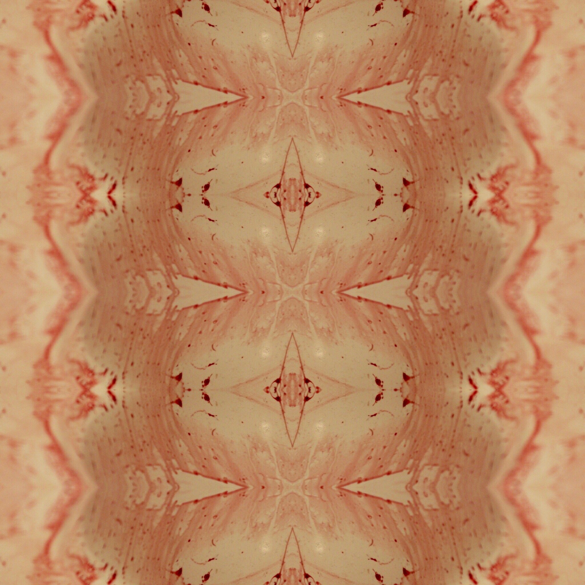 2208146F-1A75-4B18-8047-008C08D80F83.jpeg