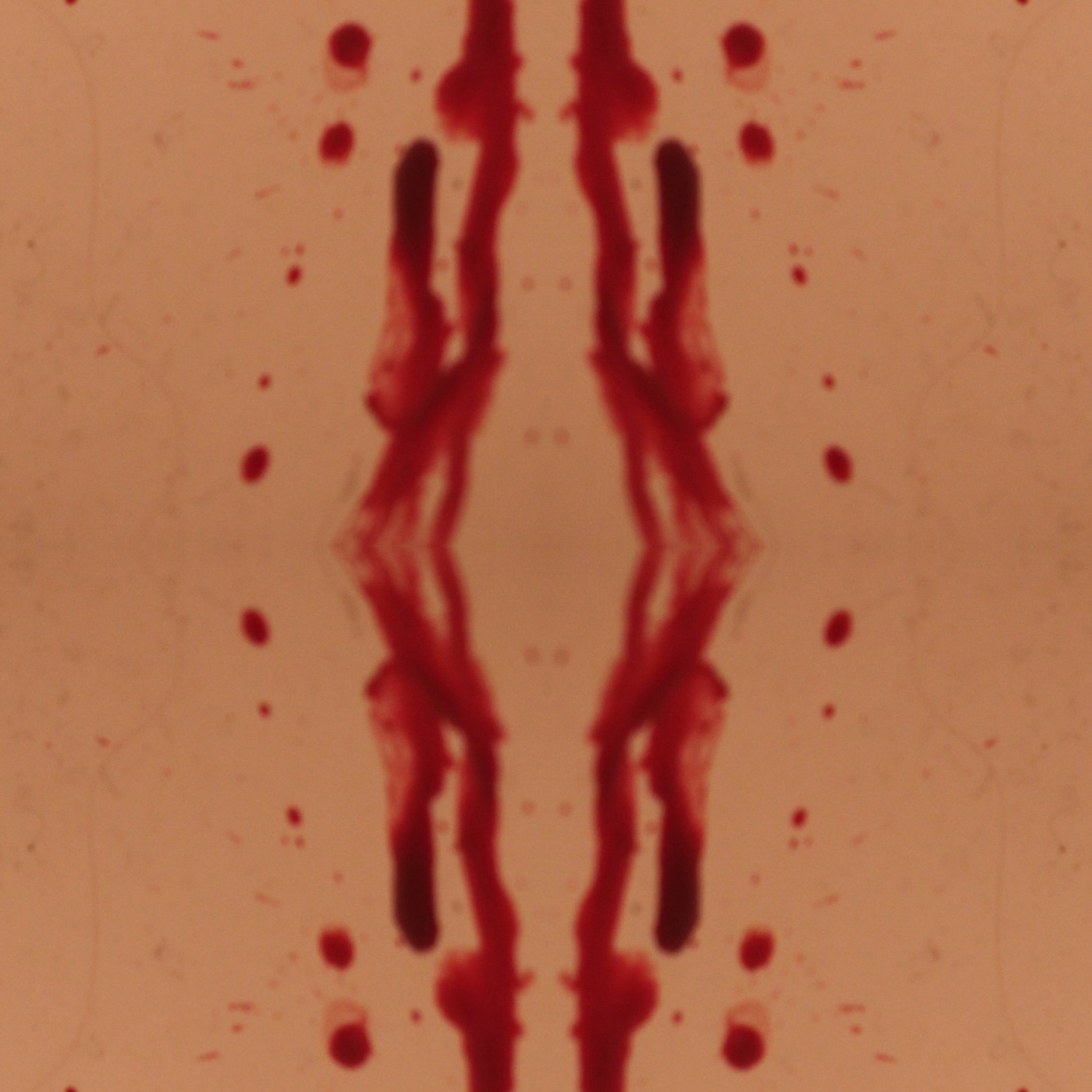 pattern 3.jpg