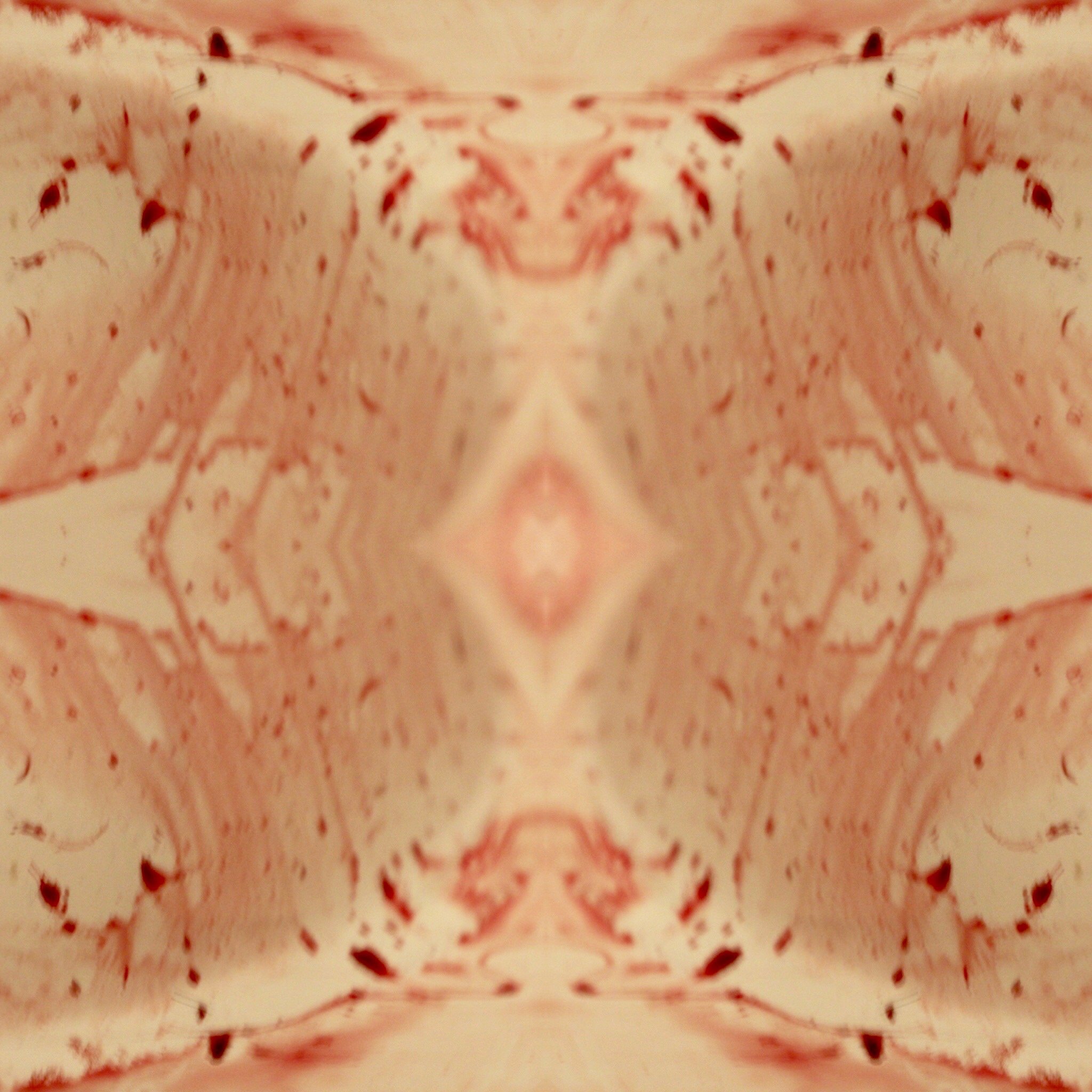 A2E230BB-5475-4C76-8528-B7A4CF7954F2.jpeg