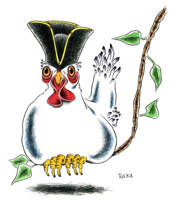 Poulets et Poulettes - Madame Figaro