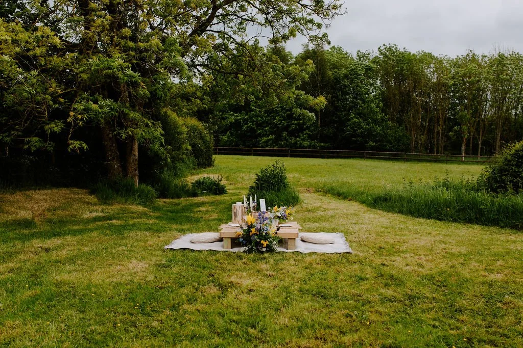 Picnic for two people - proposal Picnic hired from Mae & Maple Prop & Decor Hire