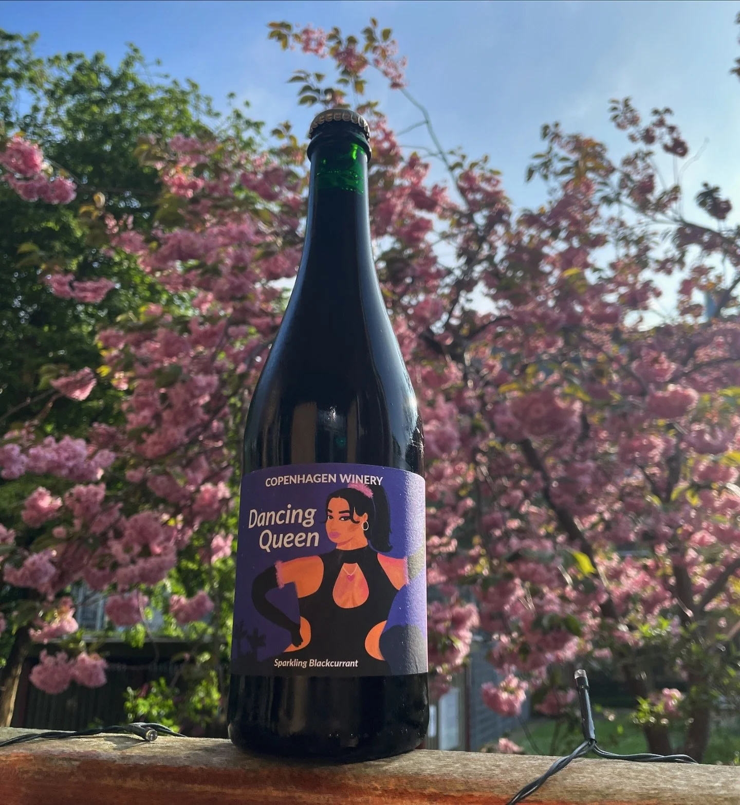 Dancing queen 🕺 our sparkling organic black currant wine ✨

#blackcurrant #sparklingwine #organicwine #naturewine #naturalwine #danishingredients #localingredients #copenhagenwine