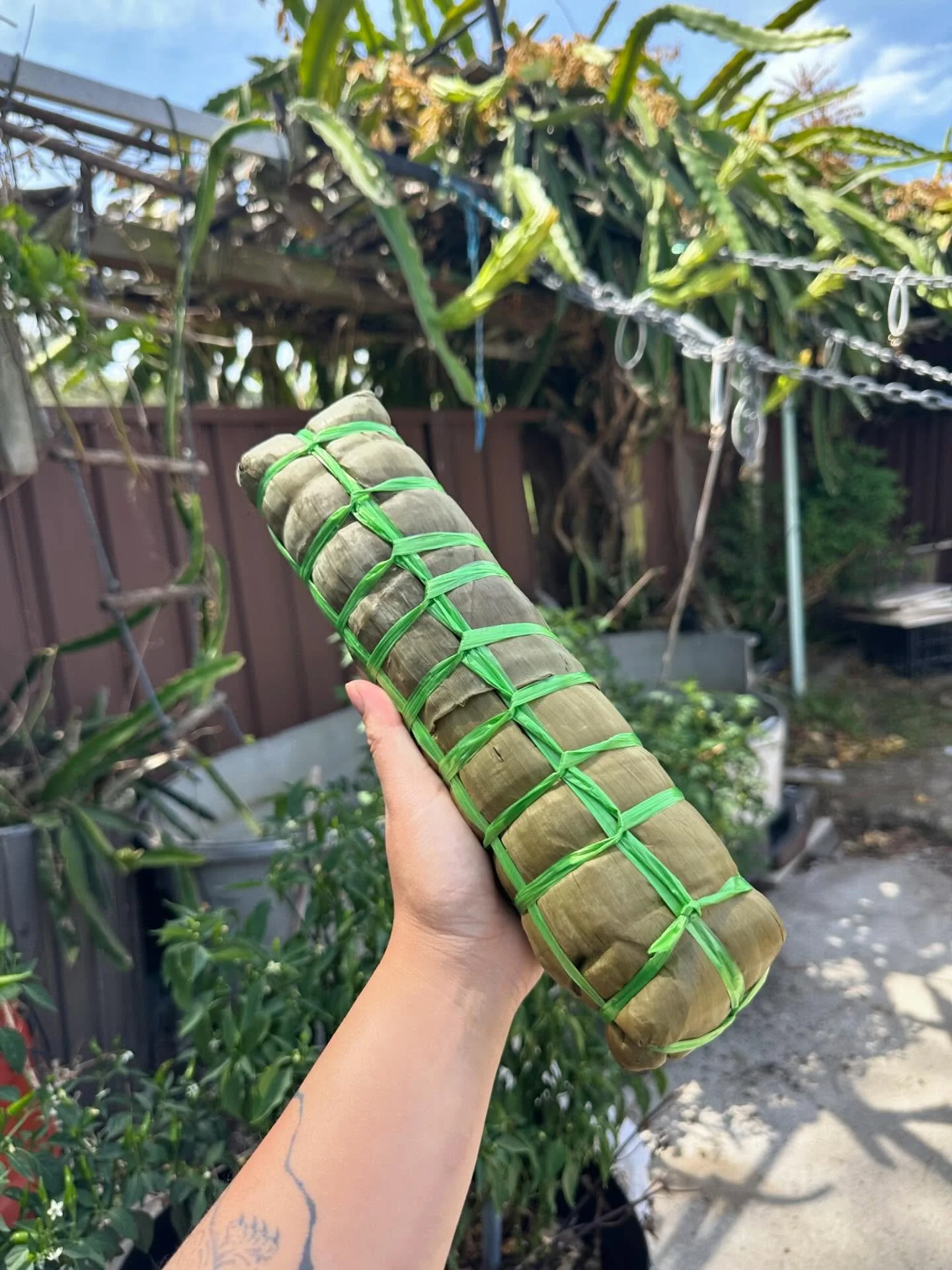 Welcome the Year of the Fire Horse with a Tết offering by Mum and I 🥹❤️

Every year my family and I cook an array of dishes including B&aacute;nh T&eacute;t, Thịt Kho Trứng, pickles to offer to our ancestors before sitting down and sharing our labou