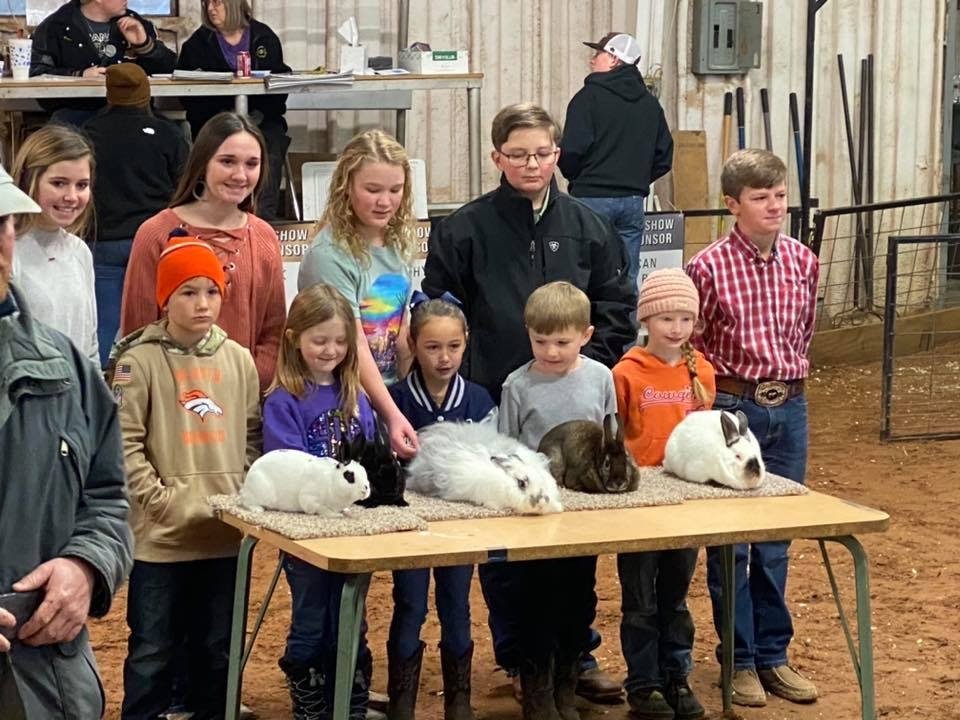 FFA juging of the bunny Rabbits in Quanah Texas.JPG