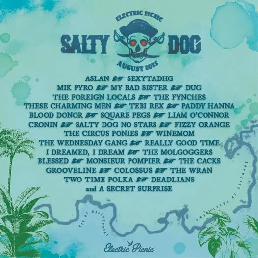Electric Picnic - Salty Dog Stage