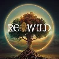 Rewild Festival, Killarney, Co. Kerry