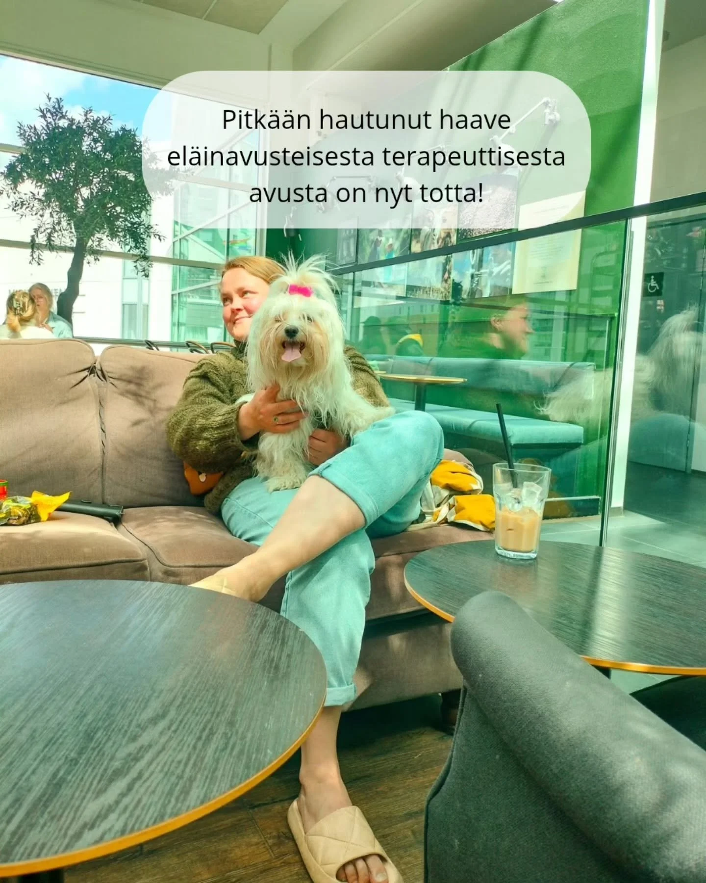 Autan ensimm&auml;ist&auml; ja ehk&auml; toistakin asiakasta nyt ilmaiseksi! 

Olen vuosia haaveillut, ett&auml; sitten joskus haluan yhdist&auml;&auml; el&auml;imen viisauden ja terapeuttisen ty&ouml;n.

Ett&auml; ensin tarvii opiskella jotain lis&a
