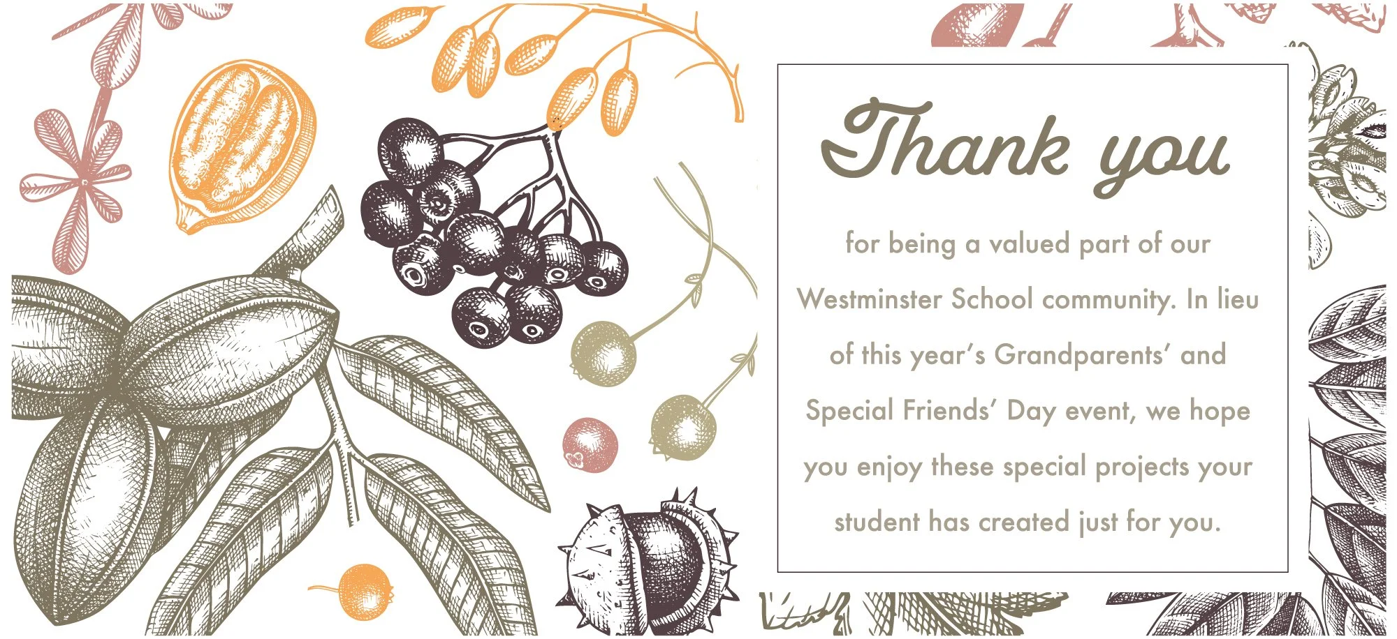 ws-mailer-folder-adorable-thankyou.jpg